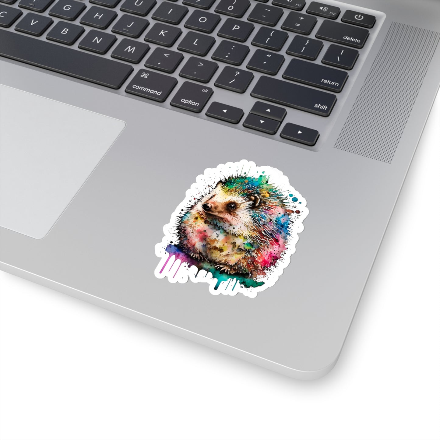 Hedgehog Sticker - Add Some Colorful and Unique Style to Your Tech