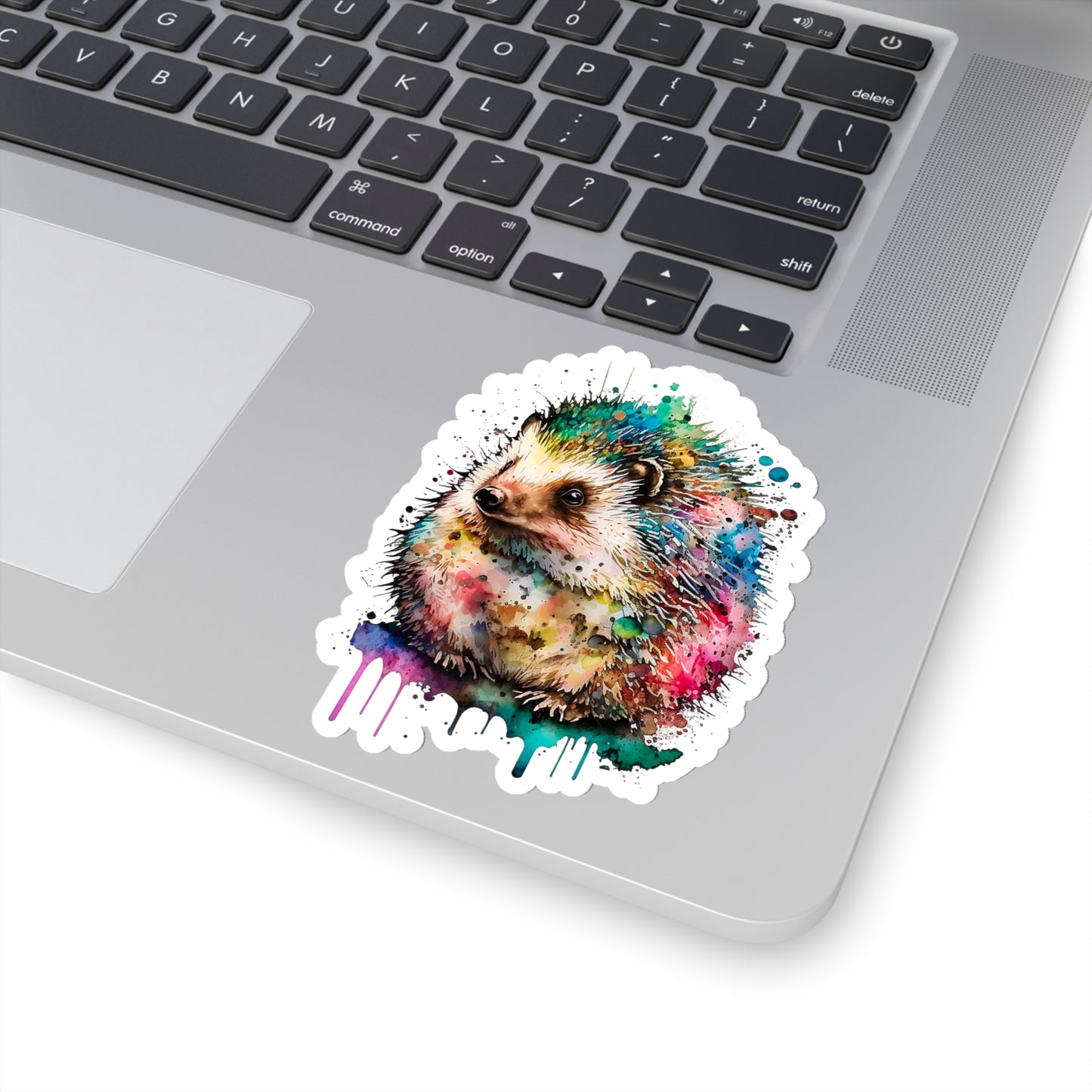 Hedgehog Sticker - Add Some Colorful and Unique Style to Your Tech