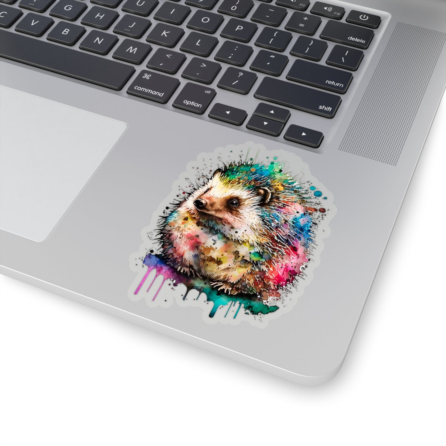 Hedgehog Sticker - Add Some Colorful and Unique Style to Your Tech